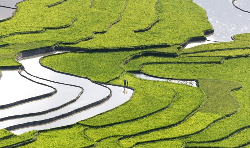 龙湾生态旅游区要门票吗 生态旅游区