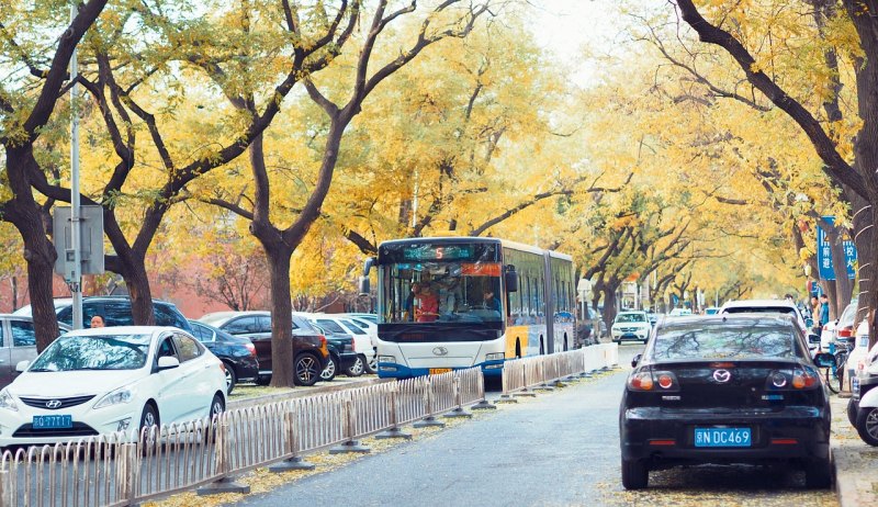 泸州沱江旅游道可以租自行车吗 旅游道