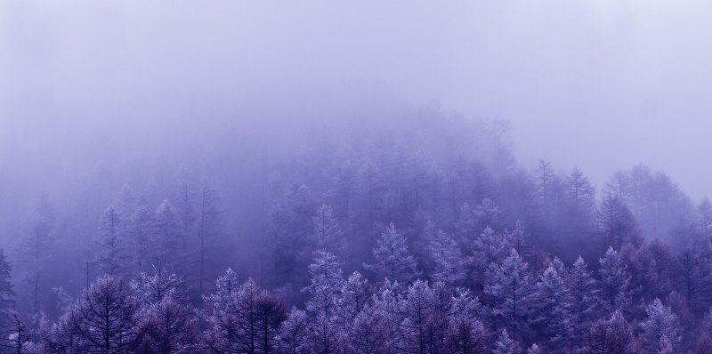 清明适合旅游的地方 清明节旅游