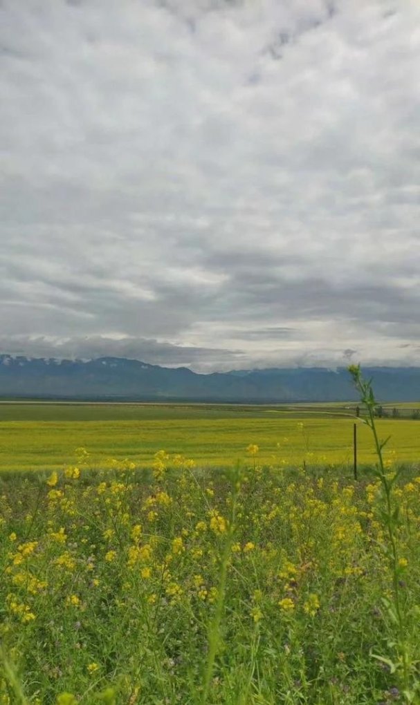 自己驾车旅游需要注意什么，驾车旅游