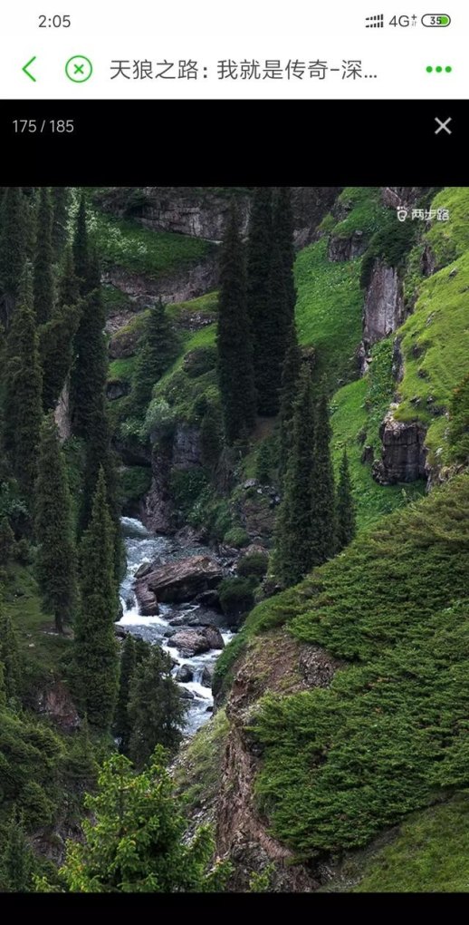 自己驾车旅游需要注意什么，驾车旅游