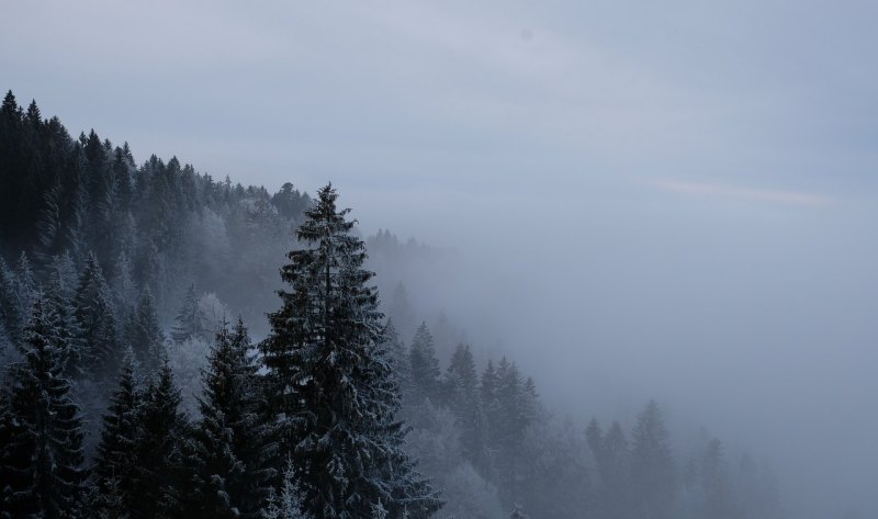 雪的文案伤感，关于雪的伤感句子