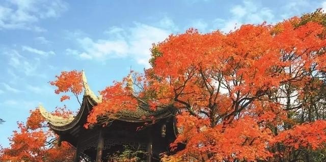 康定哪里泡温泉不错，理县县城好吃的美食推荐店在哪