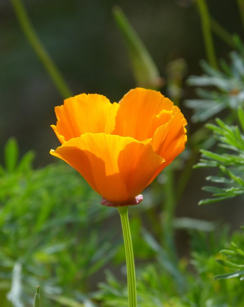 关于中秋节的暖心语录，中秋节发朋友圈句子暖心