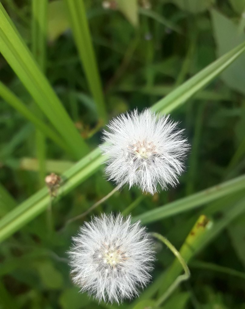 怀旧的句子经典简短，怀旧的唯美句子