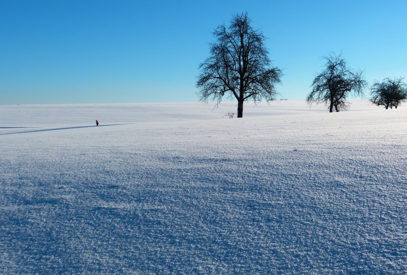 下雪的文案伤感短句，雪的说说伤感句子