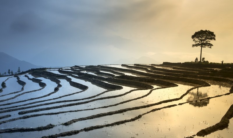 城市恢复正常句子，生活回到正轨的句子