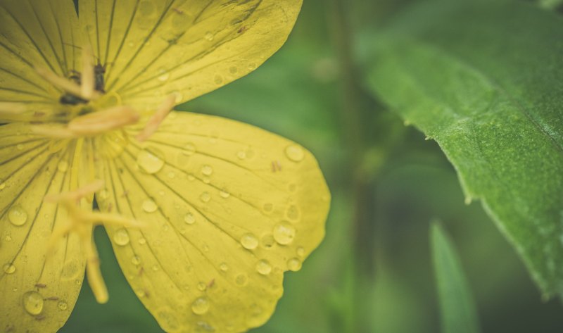 雨的四季四幅雨景图,你最喜欢哪一幅 喜欢春雨的句子