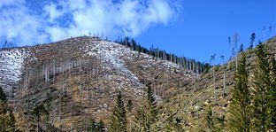 白银越野赛遇难名单女性有几个 兰州丹霞奶茶加盟多少钱