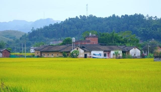 哑剧小品城里人和乡下人报幕词 乡下人习俗