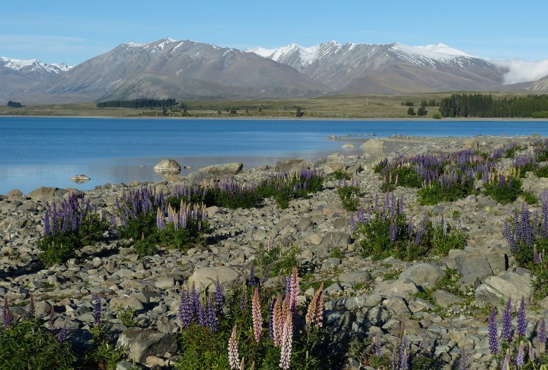 游玩山东怎么制定路线 山东旅游路线