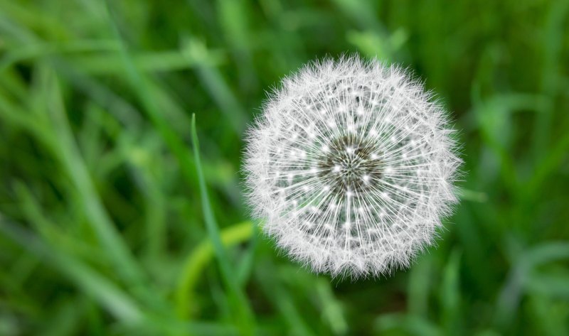 追求人生的优美句子简短,追求人生的优美句子 