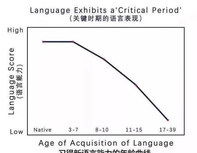 在珠海想学雅思的去哪学呀,脸颊填充用什么牌子玻尿酸