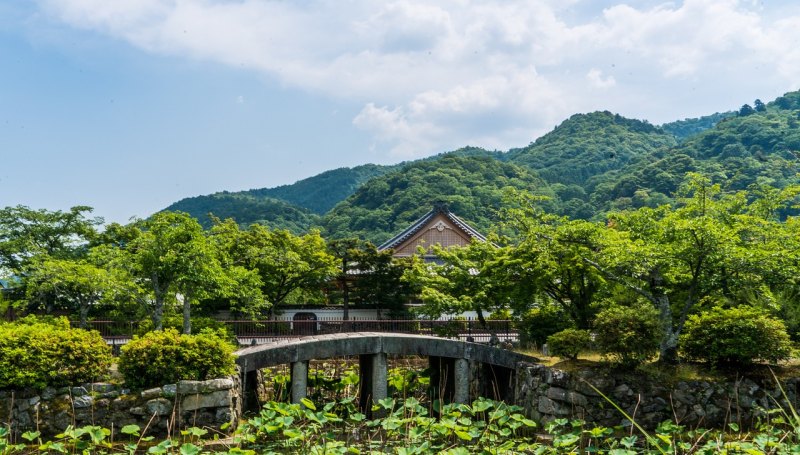 阳山自驾必去十大景点_阳山青莲小镇游玩攻略