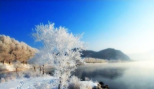 春节看雪国内旅游推荐_想去旅游看雪到什么地方好