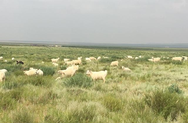 郑州卤肉店排名前十名_优居优住什么时候入驻郑州