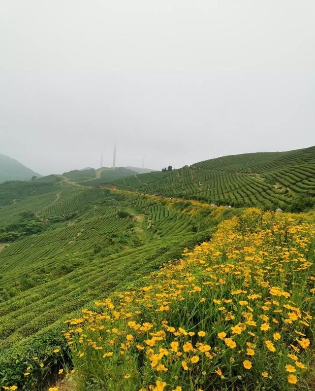 出去旅游别人说我辛苦怎么回复,出去旅游了