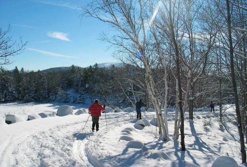 三年级描写风景优美的短句子_雪后山中景色的唯美句子