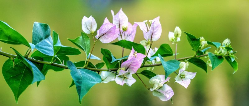 花花世界各种人生品尝句子_花花世界朋友圈文案