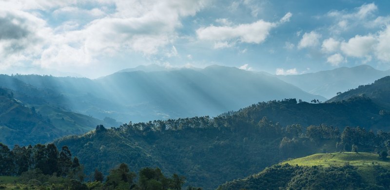 青城山 旅游,青城山 旅游