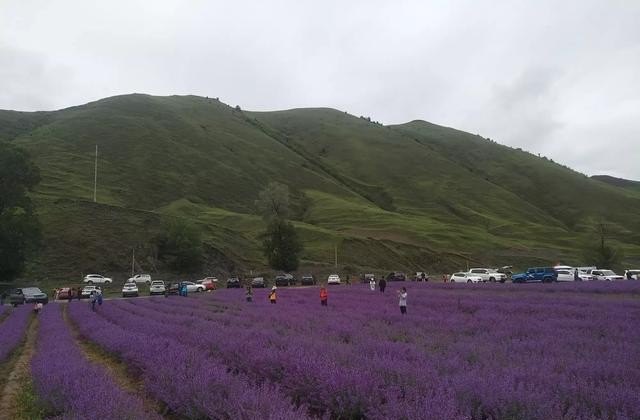 第一次和女友去旅游应该怎么办,和女朋友旅游