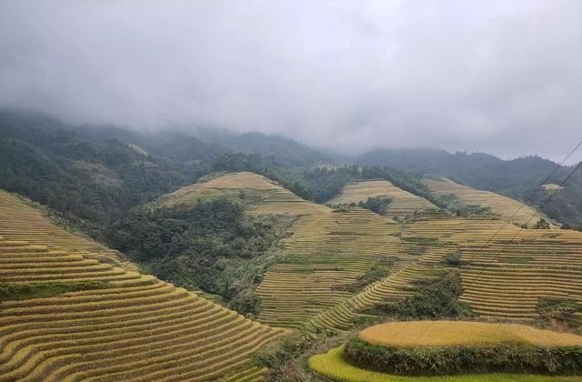 刚刚旅游完就辞职好吗，辞职旅游