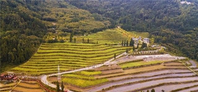 都江堰哪家烧烤最好吃 都江堰美食推荐自助餐厅有哪些地方吃的好吃