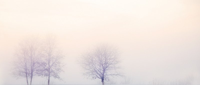 古代的诗词里有哪些很唯美，很伤感的字呢_求古代诗句，文言文中表达爱情离别孤单的伤感语句