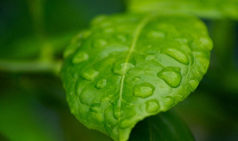 下雨时的祝福_下雨天祝福客户短信