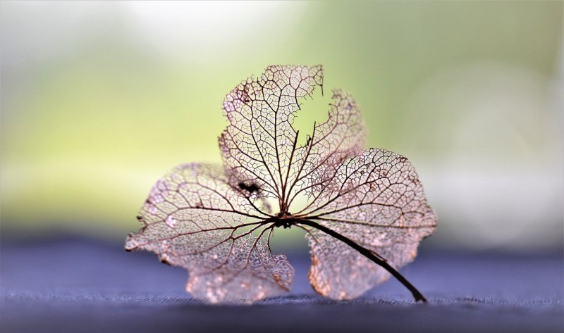 分手后求复合的金典语句_劝老婆回心转意的情诗