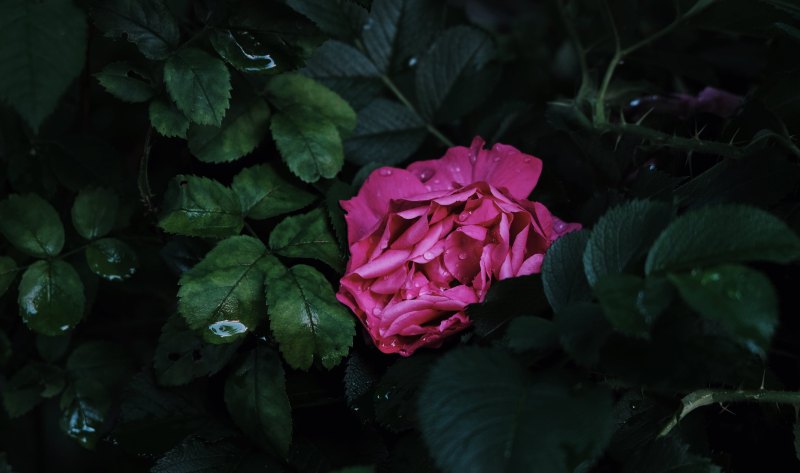 雨夜伤感文案，雨夜的心情伤感的句子