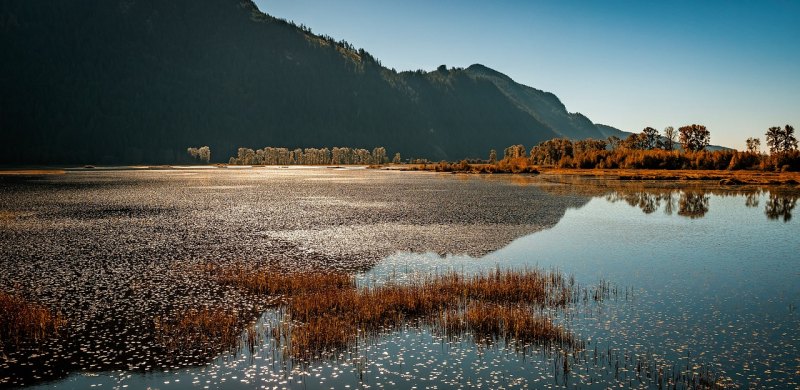 到洪湖旅游有什么好的攻略 洪湖旅游