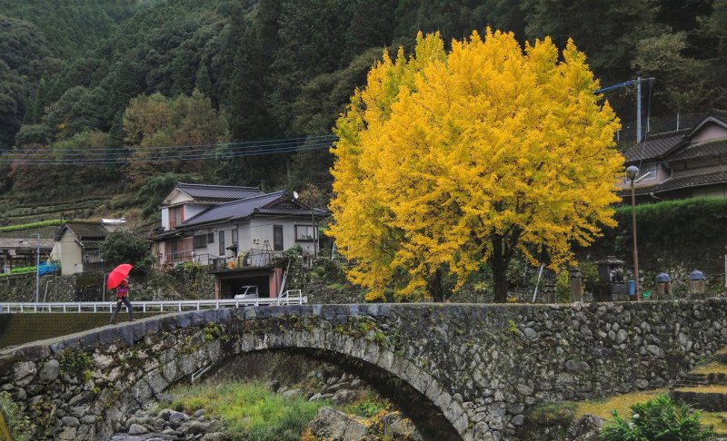 甘肃青海最佳旅游地点 青海甘肃旅游