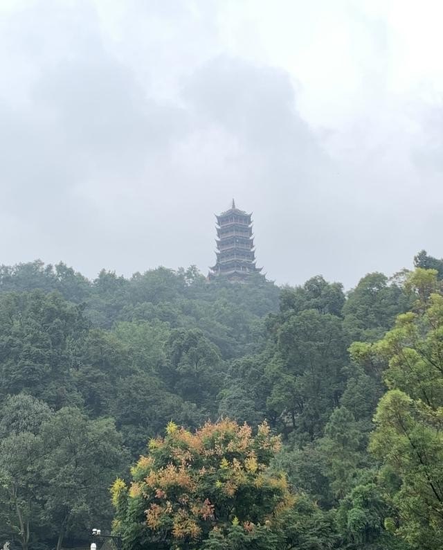 中低龄消费者群体的旅游消费特征是什么_独自一人去旅游可以吗