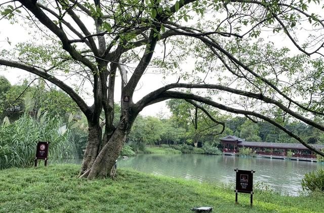 中低龄消费者群体的旅游消费特征是什么_独自一人去旅游可以吗