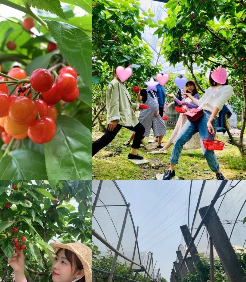 嵊州可以去哪些地方一日游_嵊州新昌好玩的地方