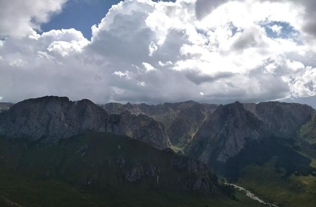 携程机场接送司机招聘靠谱吗,招聘旅游司机