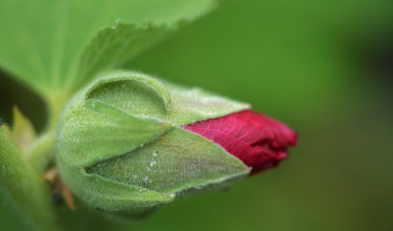 雨的四季优美句子批注_夏天的风句子短句唯美