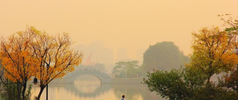 不想你走又伸不出手挽留句子,写挽留感情的句子