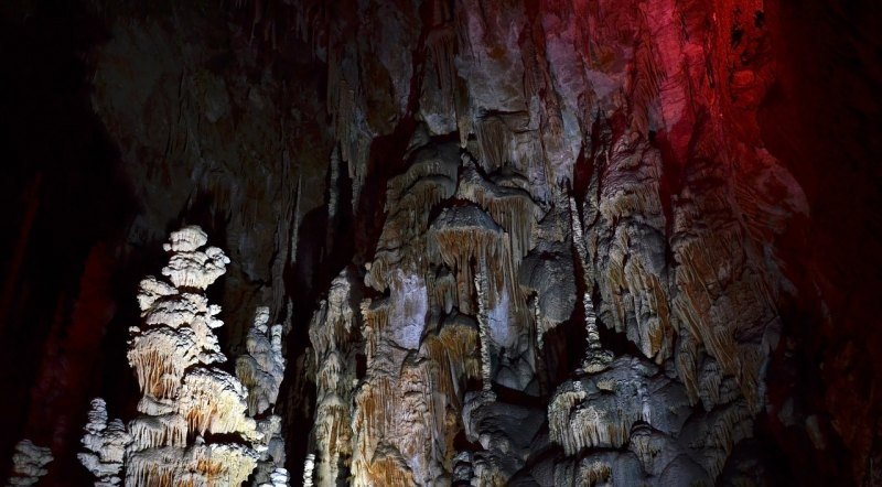 光遇拾光季先祖几点走,光遇旅行先祖周四