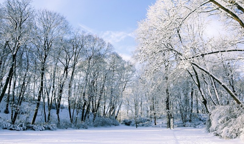 三月桃花雪古诗,三月桃花雪的唯美句子