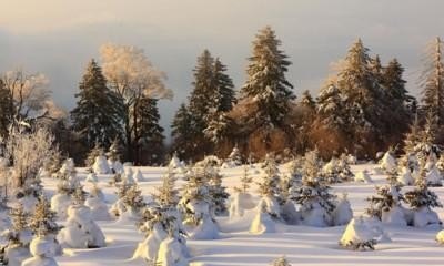 去珲春旅游最佳路线，珲春旅游