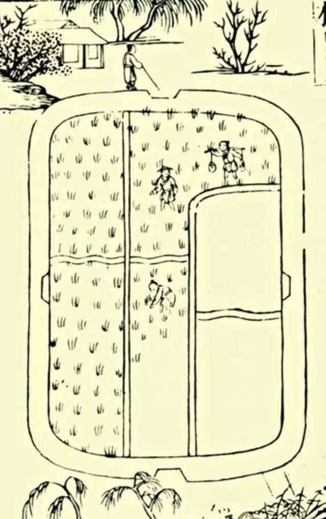 如何评价明太祖的功绩和历史地位,朱元璋对中国历史影响