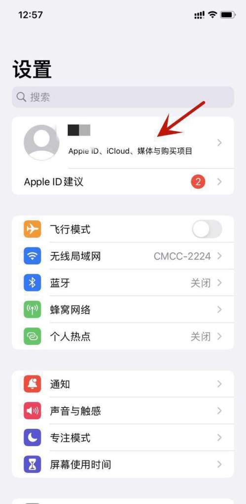 苹果怎么充值抖币一比一_iphone 过充