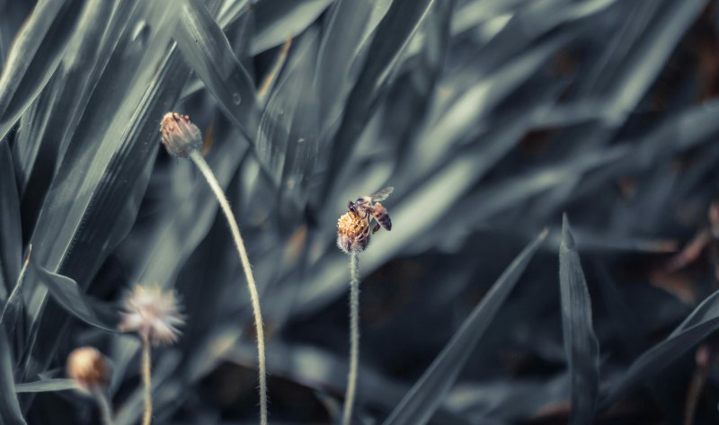 形容下雨天的唯美句子_冷雨天的唯美句子