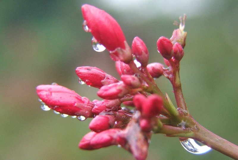 虎年祝福句子简短 虎年发的祝福句子