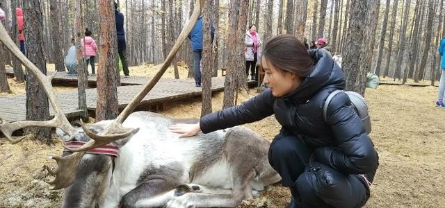 有什么地方安静点风景好，适合一个人旅游散心的,安静的旅游