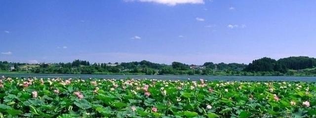 湖北荆州旅游攻略好玩的地方景点推荐 荆州旅游攻略