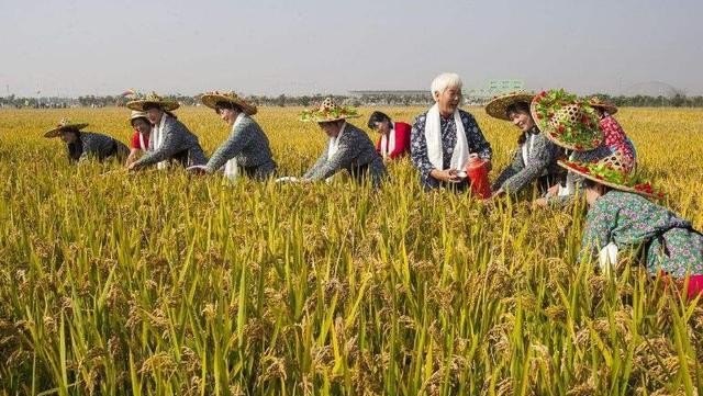 上野食习俗,上野食习俗