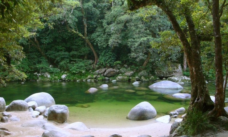 原神雨林秘境怎么开启逃课,原神雨林隐藏攻略